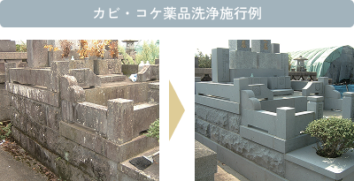 カビ・コケ薬品洗浄施行例