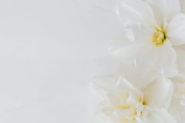 供花の出し方は？