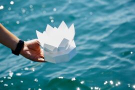 玉泉院の『海洋散骨』とは？