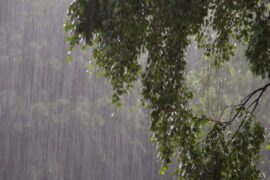 【こんな時どうする？】台風や災害時、葬儀は延期可能？